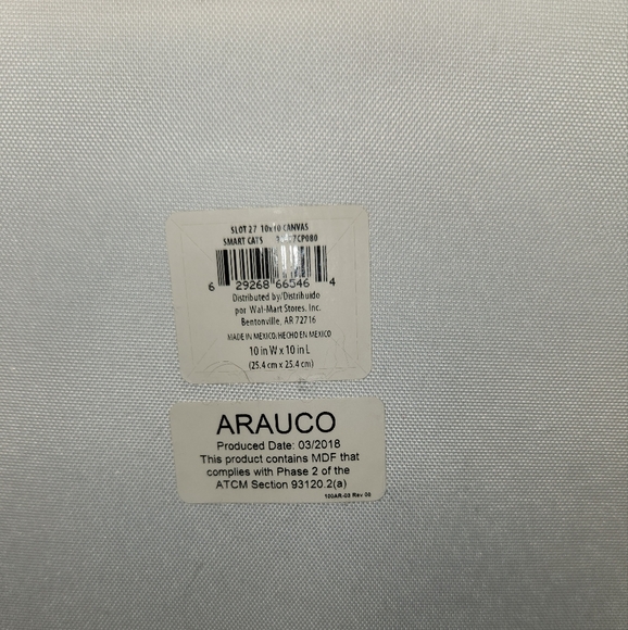 Arauco Cool Cat w/ Blue Glasses 10.25" x 10.25" Canvas Print ~ NWT - Picture 4 of 5